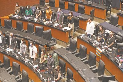 Senadores del PAN piden Ingreso Básico Universal ante Covid-19