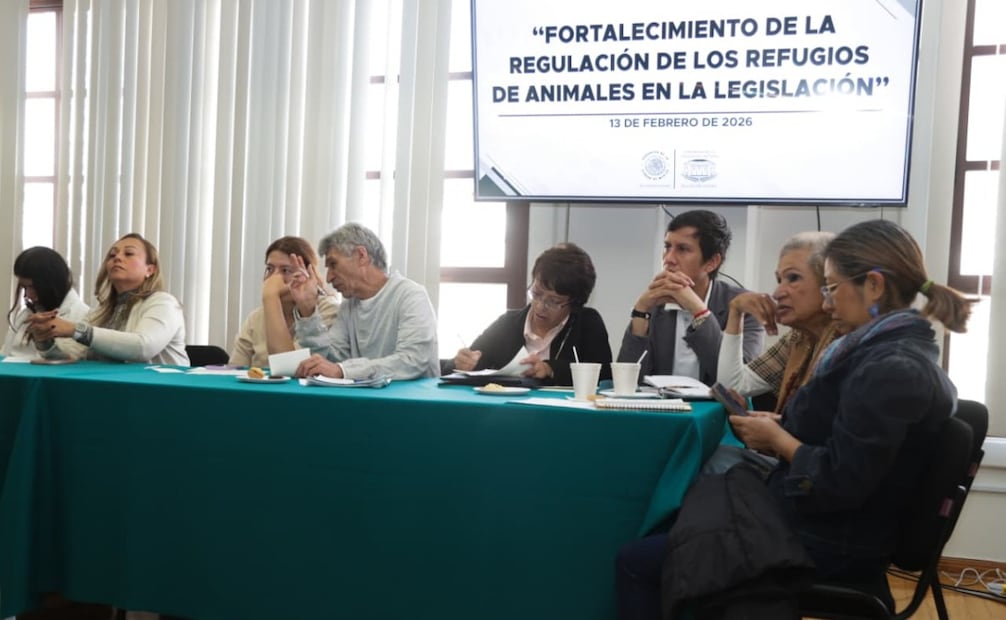 Legisladores analizan regulación de albergues; activistas exigen apoyo y penas más duras contra maltrato animal.
Foto: CARLOS MEJIA/EL UNIVERSAL