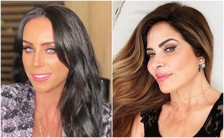 Broncas fiscales y labor altruista, el caso de Gómez Mont, Trevi y otros famosos