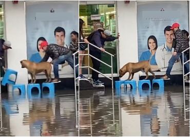 VIDEO: ¿Fe en la humanidad? Ayudan a perrito a cruzar en plena inundación