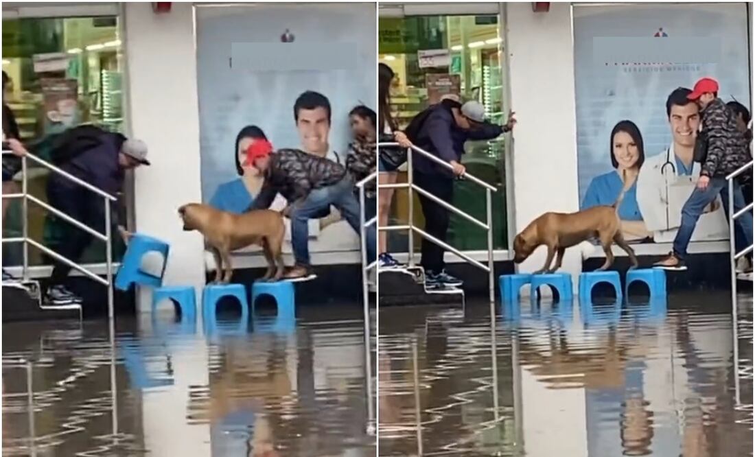 Ayudan a perrito a cruzar en plena inundación. Foto: Captura de video @hoysololeslie