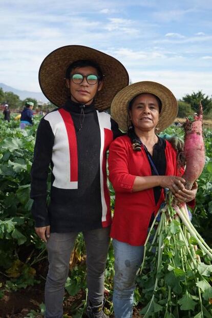 Noche de Rábanos, lo que debes saber de esta fiesta navideña en Oaxaca