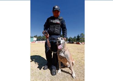 Tras 7 años, Alfa se retira de los servicios de búsqueda