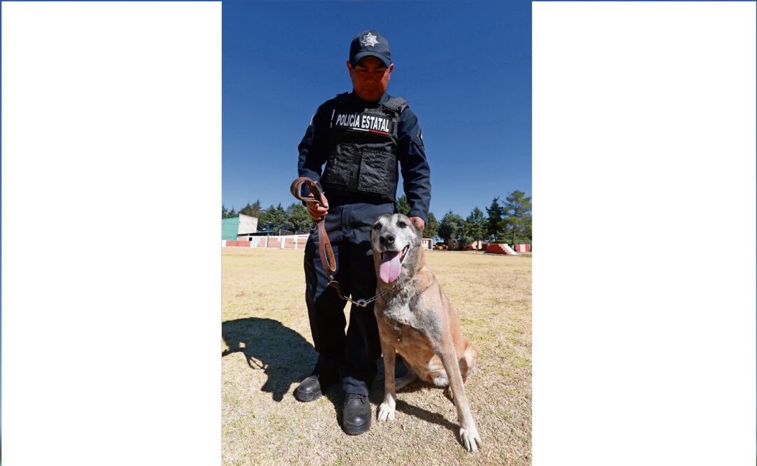 Desde los cuatro meses, Alfa inició su acondiciona miento, comentó el policía Raúl Bautista. Foto: Alejandro Vargas / EL UNIVERSAL