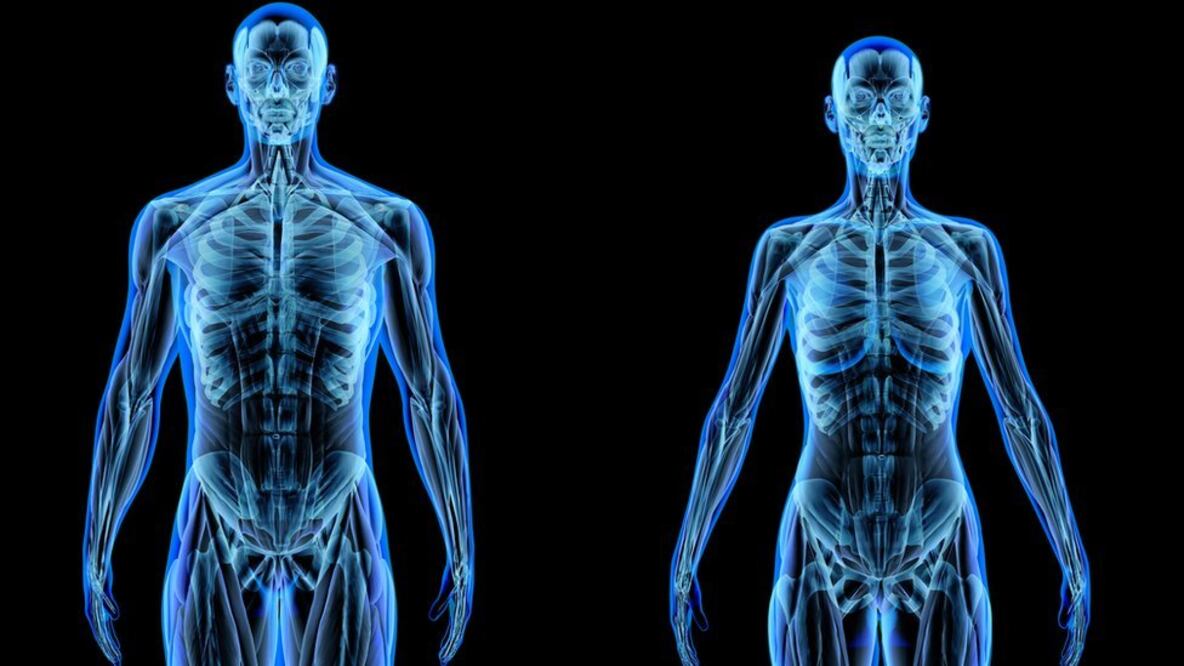 Nuestro cuerpo está fundamentalmente formado por átomos. Foto: Getty Images vía BBC