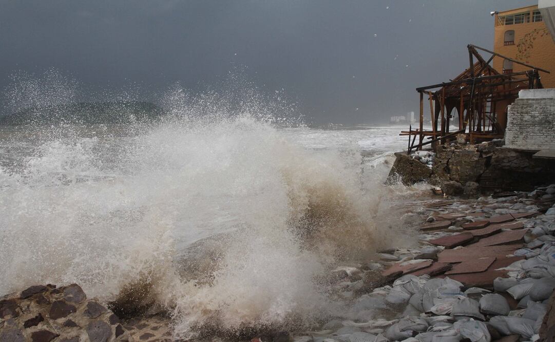 Foto: Archivo/EL UNIVERSAL.