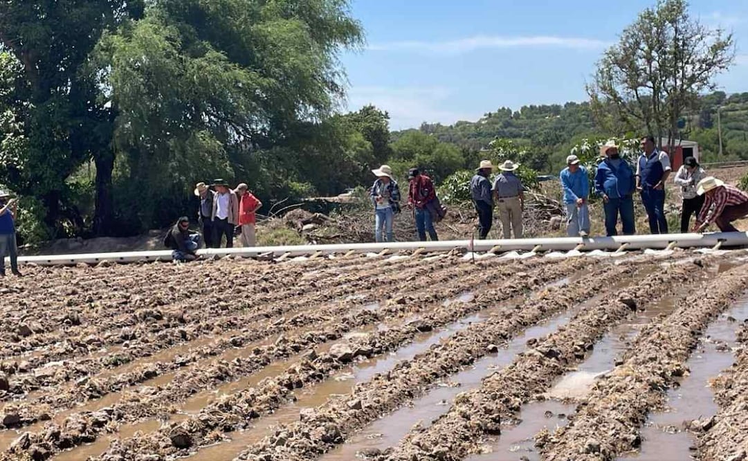 Sistemas de riego tecnificado en Hidalgo / Foto: Especial