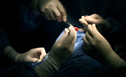 Fabricarán detergente ecológico a partir de una proteína del páncreas