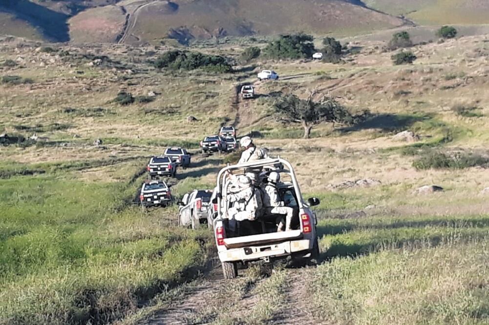 Agentes de la Policía Estatal Preventiva realizaron un operativo con apoyo de militares en la falda del cerro Veladero, donde se percataron de que en el área del cañón había una cama de plantas con flores. / CORTESÍA
