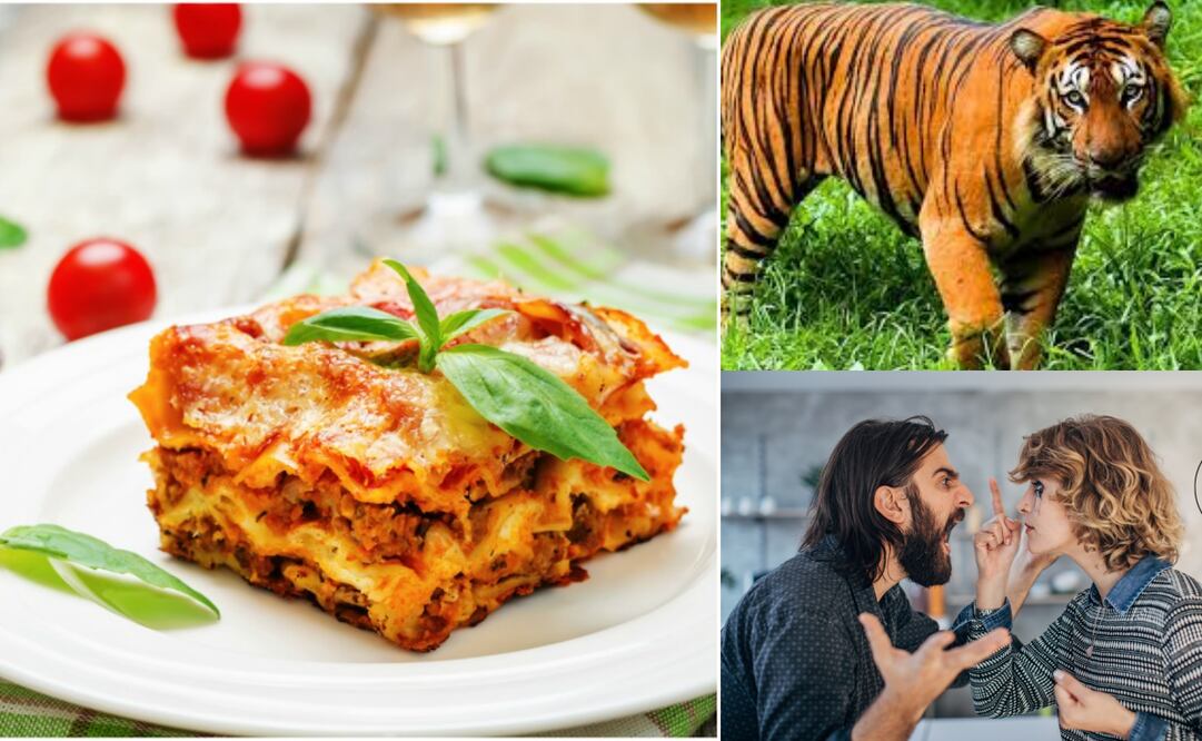 Este 29 de julio se celebran tres jornadas conmemorativas. Entre estos temas están relacionados con los animales, relaciones amorosas y la gastronomía.