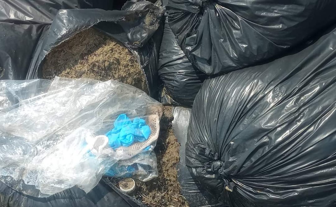 Bolsas localizadas en playas de Pajapan y Alvarado, Veracruz, contienen sargazo y no chapopote, reporta la Secretaría de Marina (12/04/2026). Foto: Semar