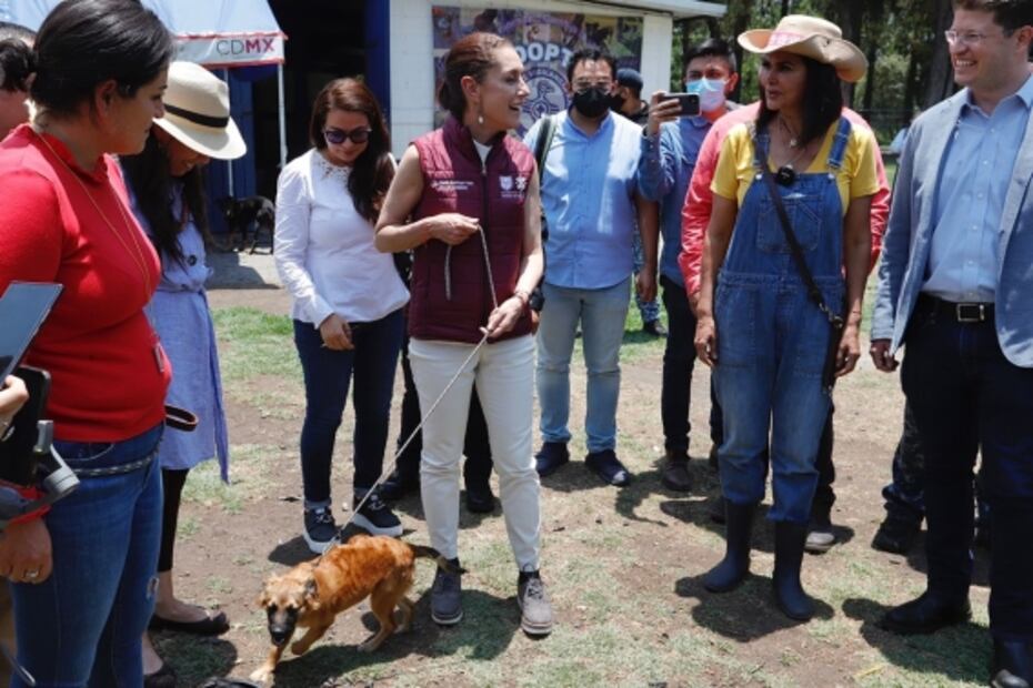 Sheinbaum visita Brigada de Vigilancia Animal de la SSC e invita a adoptar perritos 