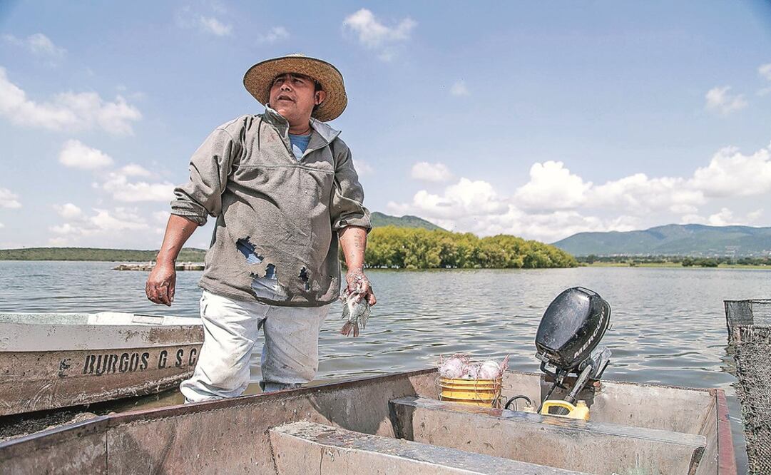 Sagarpa y diputados impulsarán pesca