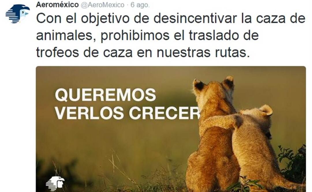Aeroméxico no trasladará trofeos de cacería