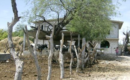 Huasteca hidalguense registra hasta 37 grados