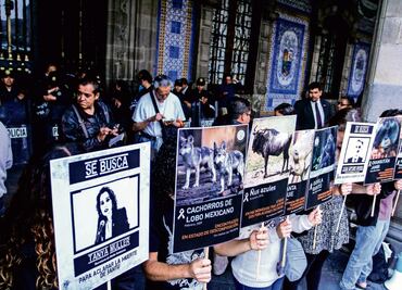 “Sedema no toma en serio acuerdo Zoo21”