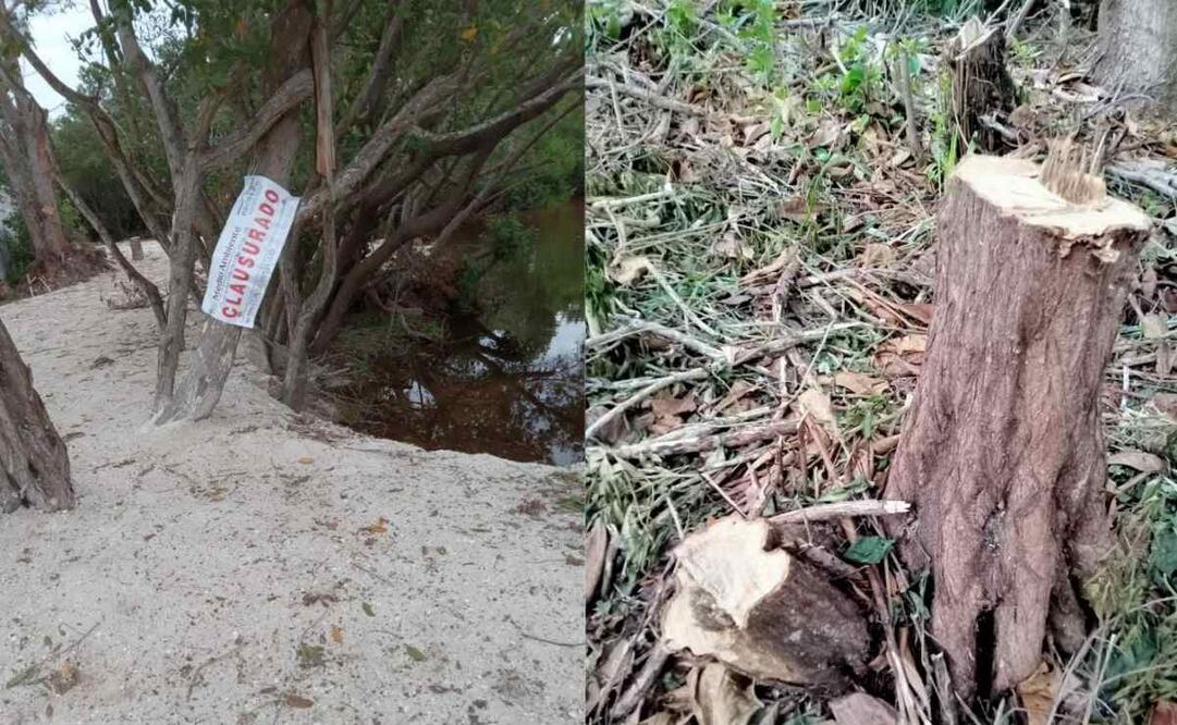 Señalan a presuntos responsables de daños ambientales en Sisal, Yucatán (16/11/2025). Foto: Especial