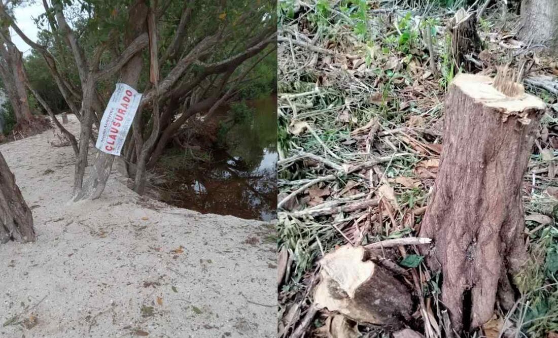 Señalan a presuntos responsables de daños ambientales en Sisal, Yucatán (16/11/2025). Foto: Especial