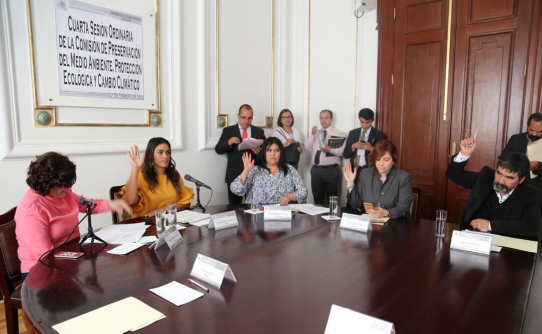 Fotografía: Especial