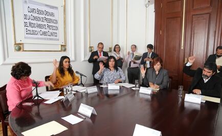 Eligen en comisiones a Mariana Boy como procuradora ambiental