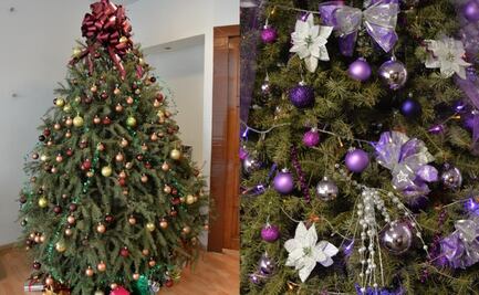 Metepec y Toluca abren centros de acopio para reciclar arbolitos de Navidad naturales