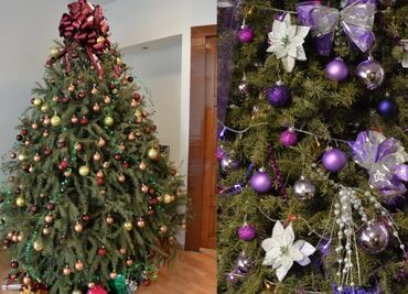 Metepec y Toluca abren centros de acopio para reciclar arbolitos de Navidad naturales