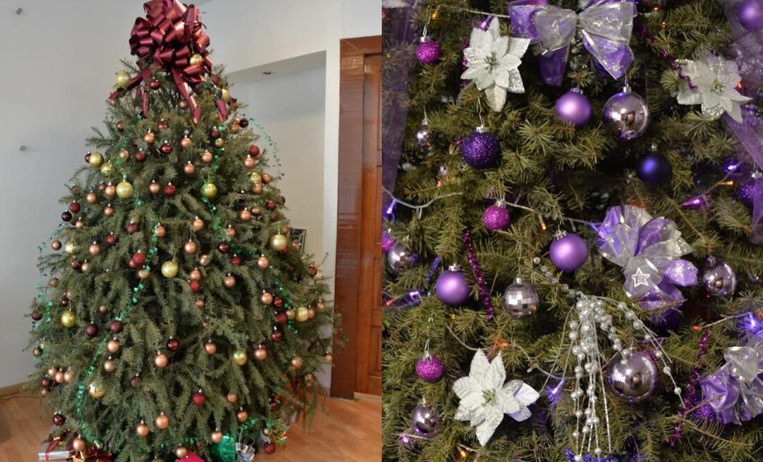 Los árboles de Navidad naturales serán triturados y posteriormente convertidos en composta o abono orgánico. Foto: Especial