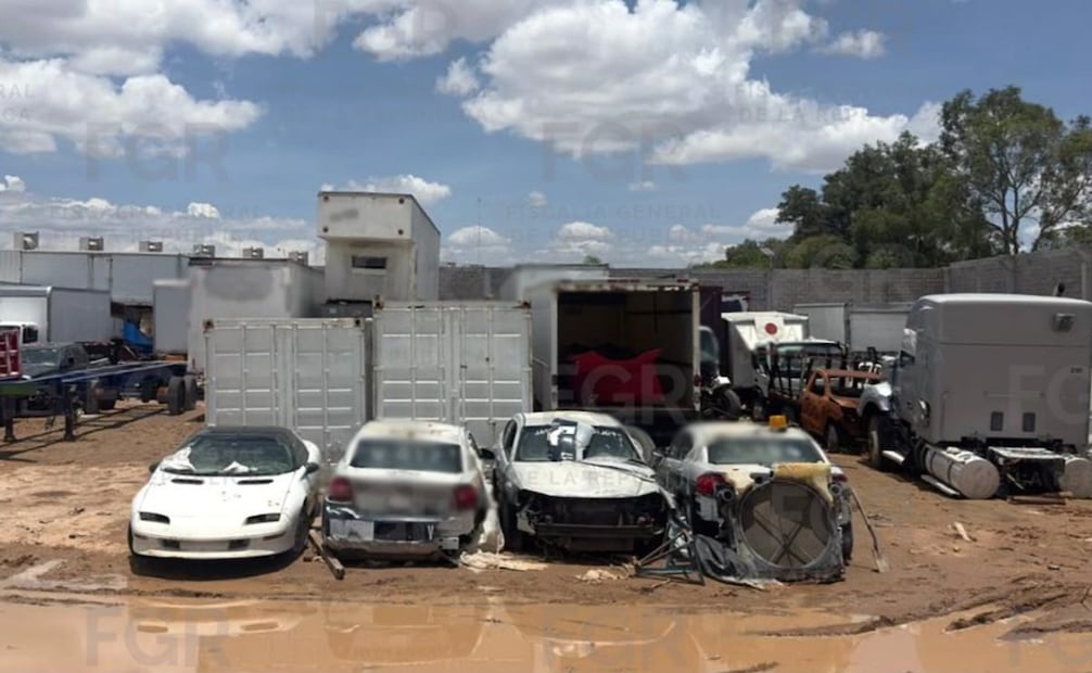 Cateo por robo de neumáticos destapa predio con vehículos robados y fauna exótica en SLP; hay 3 detenidos.
Foto: Especial.