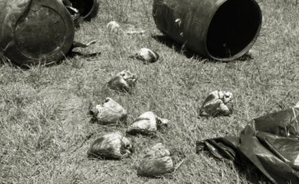 Choca tráiler que transportaba cuatro toneladas de perros y gatos muertos en Tamaulipas