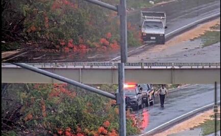 Persisten intensas lluvias en Mérida; vientos fuertes derriban árboles y postes de luz