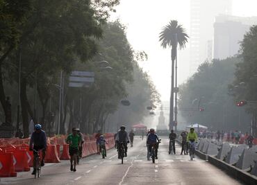 Partículas en aire agravan los males respiratorios: CAMe