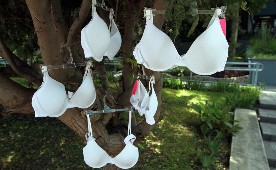 Foto: Cesar Gómez/ ARCHIVO