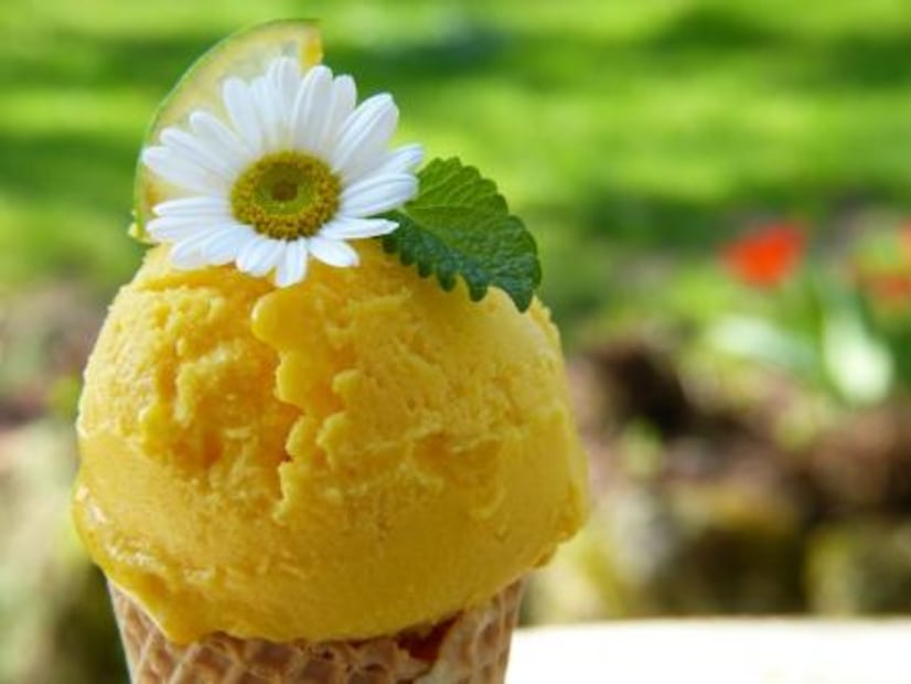 Qué es más nutritivo ¿la nieve o el helado?