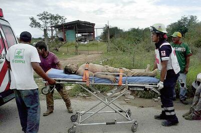 Pepenador protege a niña de ataque de abejas