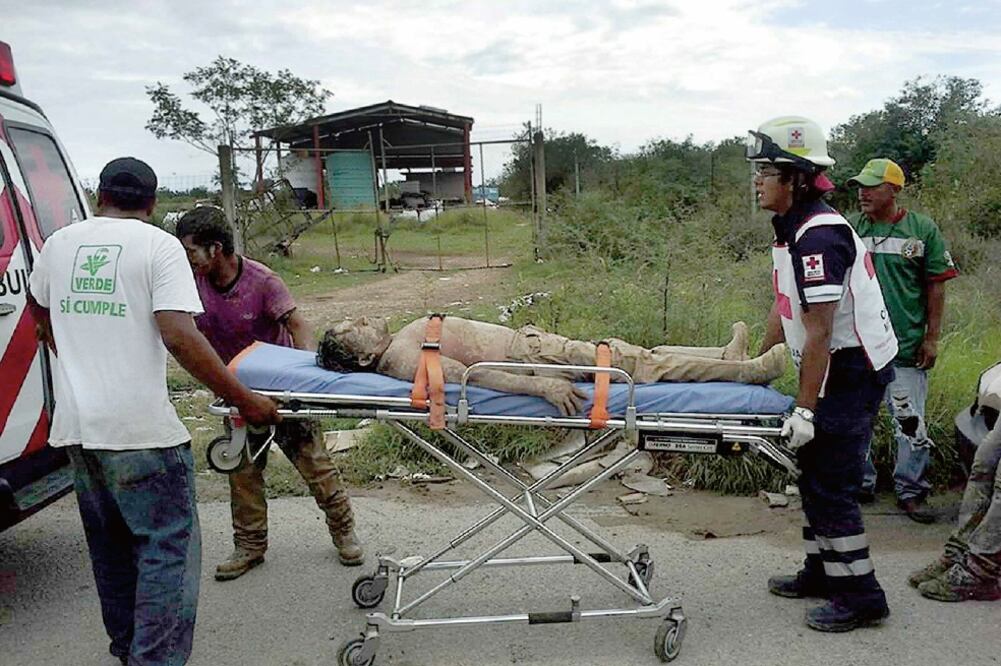 El enjambre atacó al remover un viejo sofá; otras 30 personas también resultaron lesionadas (ESPECIAL)