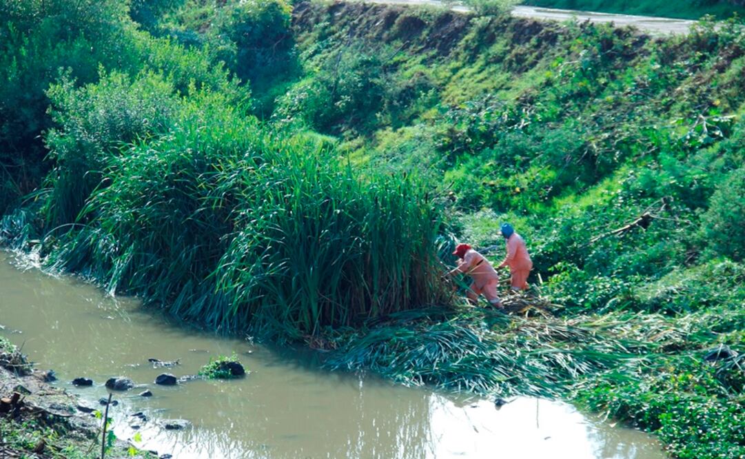 Foto: Dinorath Mota López / EL UNIVERSAL 