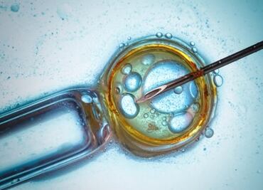 Generan biotecnología a favor del medio ambiente