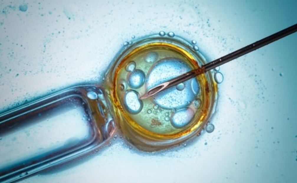 ¿Por qué le tienen tanto miedo a la biotecnología?