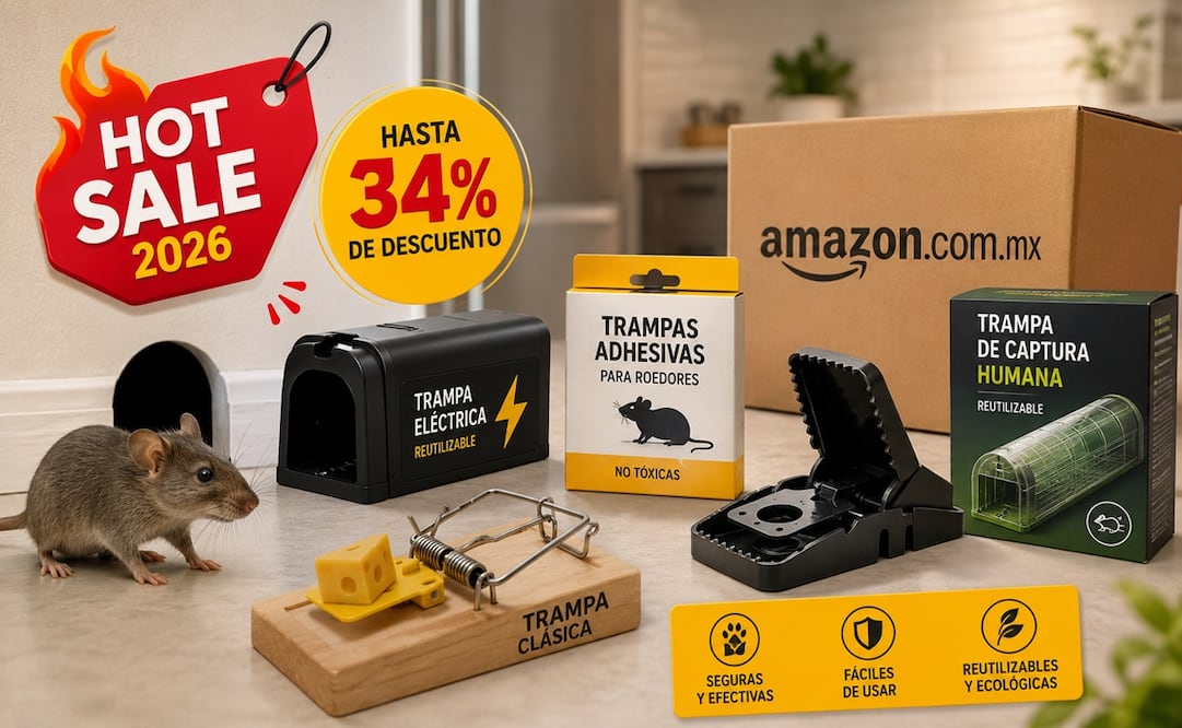 Soluciona los problemas de roedores en casa, cazando las mejores ofertas. Foto: IA