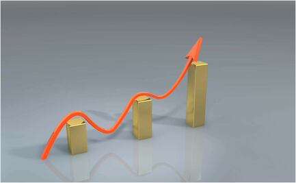 Finamex prevé ligero repunte de la inversión en 2020