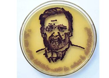 Crean obras de arte con microbios