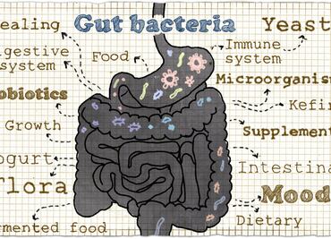 Bacterias, tus aliadas en el cuidado de la salud