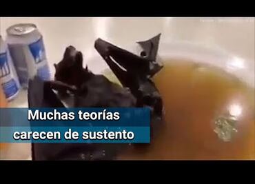 Las 5 noticias falsas sobre el coronavirus de Wuhan que circulan en internet