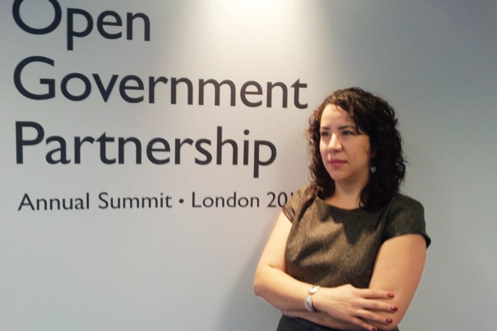 Haydeé Pérez, investigadora de Fundar Centro de Análisis e Información, dijo que en 2015 el gobierno federal invirtió 9 mil 619 mdp sólo en publicidad (ARCHIVO EL UNIVERSAL)