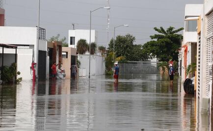 Casas inundadas en 19 municipios y pérdida de cultivos, saldo de "Delta" en Yucatán