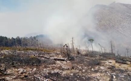 Reportan controlado en un 95% incendio forestal en sierra de Zapalinamé