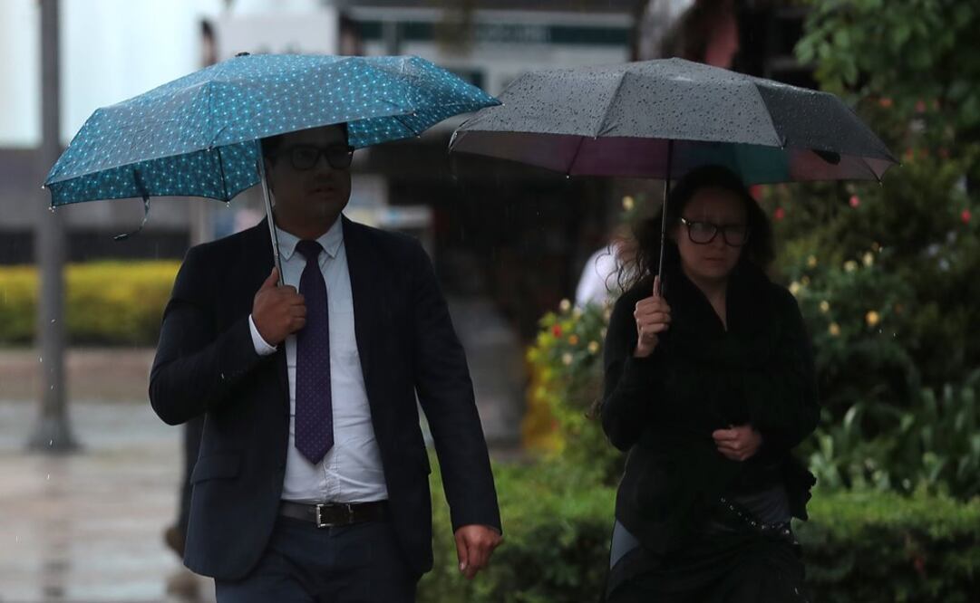 Foto: Archivo | EL UNIVERSAL