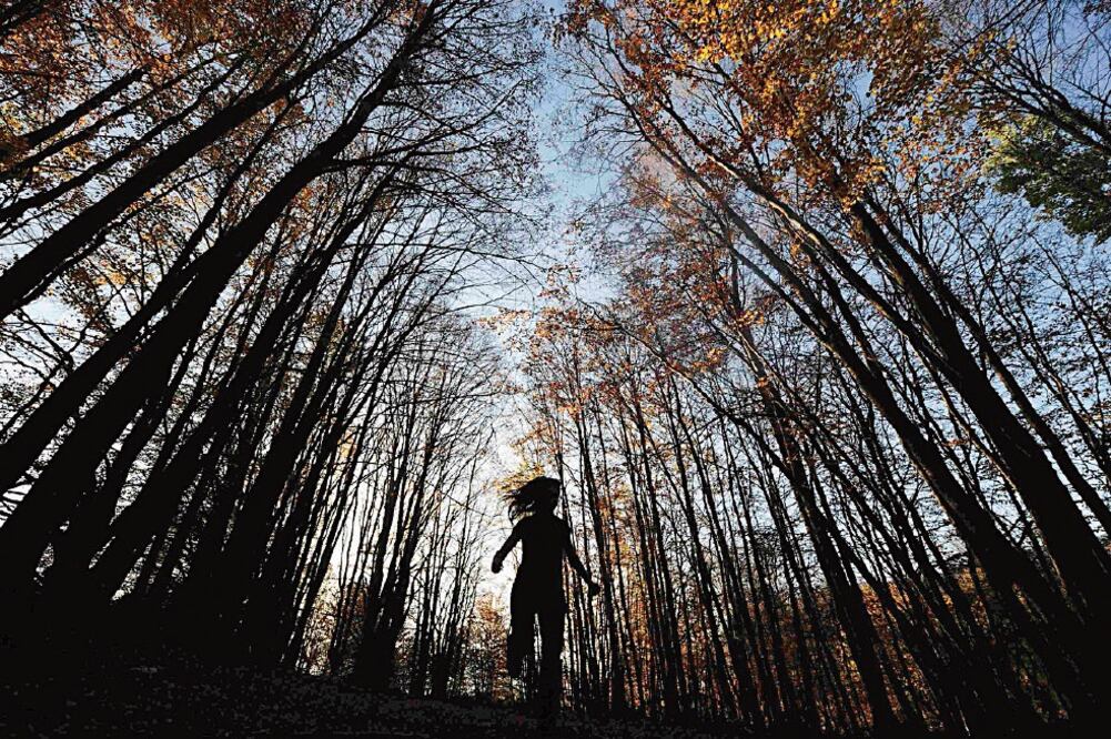 El alejamiento de la naturaleza
