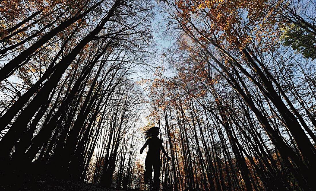 El alejamiento de la naturaleza