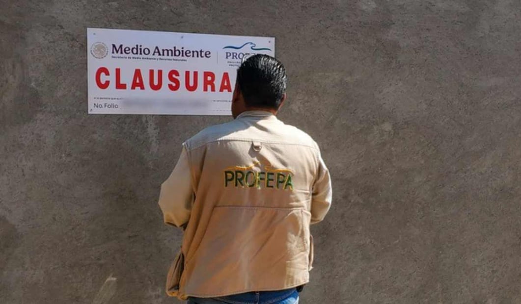 Profepa clausura obras irregulares en Morelos y Yucatán. Foto: Profepa